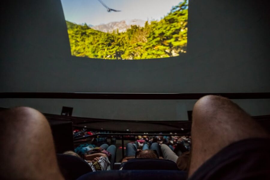 Valencia: City of Arts and Science 3D Movie at Hemisfèric - Choosing the right movie slot at Hemisfèric