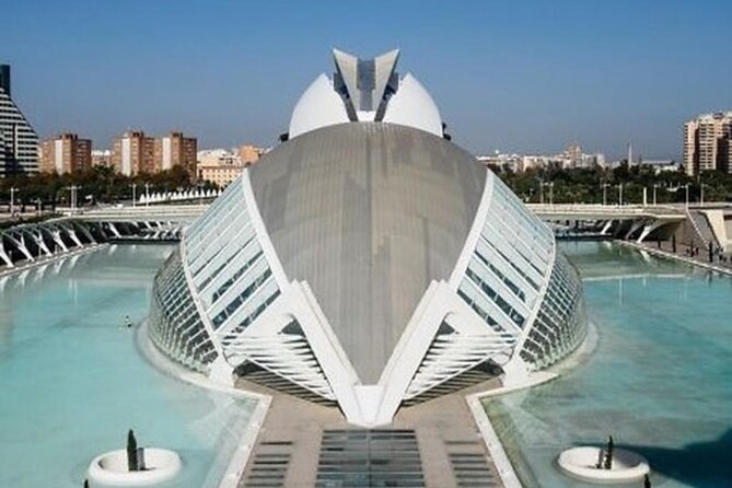 Valencia: City of Arts and Sciences Private Walking Tour - Oceanogràfic and Palau de les Arts Reina Sofía: sea forms meet performance curves