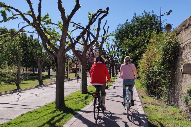 Valencia City Sights Bike Tour - Barrio del Carmen: Old Town Lanes and Photo-Friendly Stops
