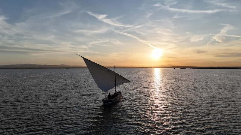 Valencia: Epic Albufera Sunset adventures and fun - BYO Snacks and Drinks: How to Make It Feel Like Your Own Picnic