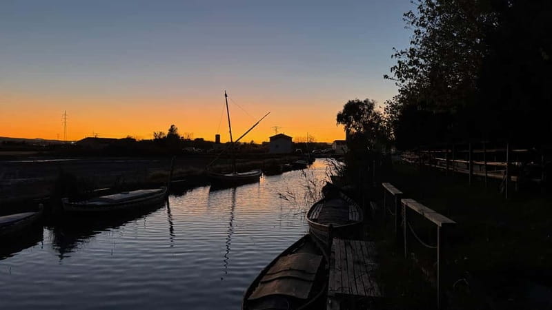 Valencia: Epic Albufera Sunset adventures and fun - Who This Albufera Sunset Sail Is Best For