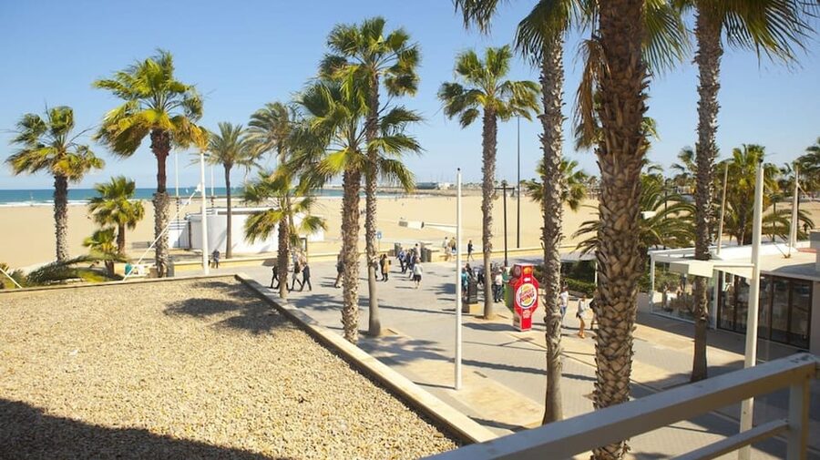 Valencia: Fantastic Segway Tour from the Center to the Beach - Turia River Bed and Gardens: The Green Strip You’ll Want to Revisit