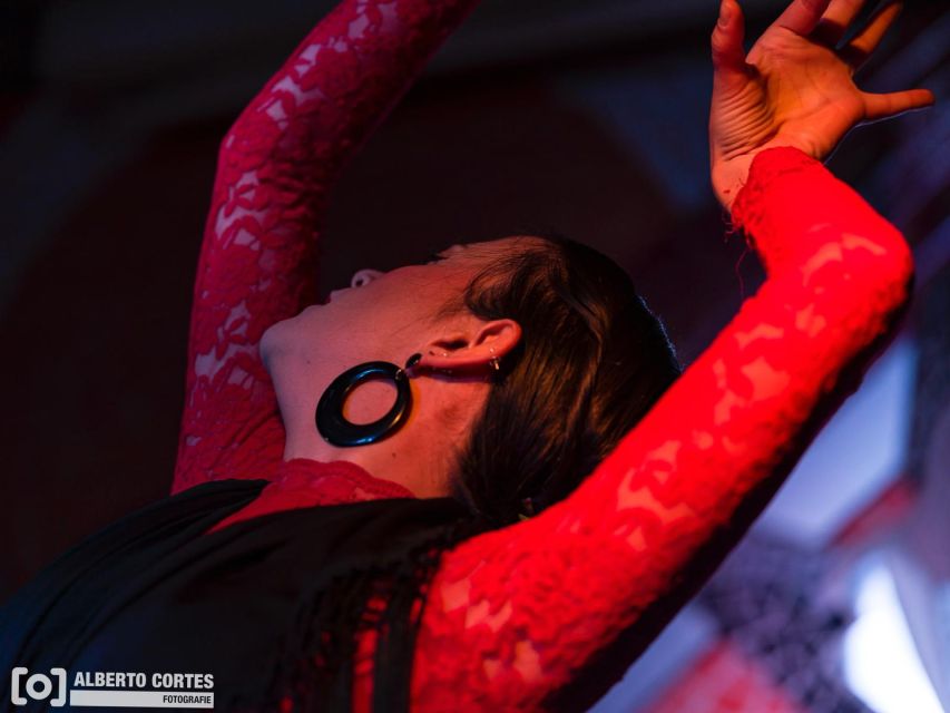Valencia: Flamenco at Toro y La Luna with optional Dinner - Show-only vs dinner-and-show: choose for your viewing angle