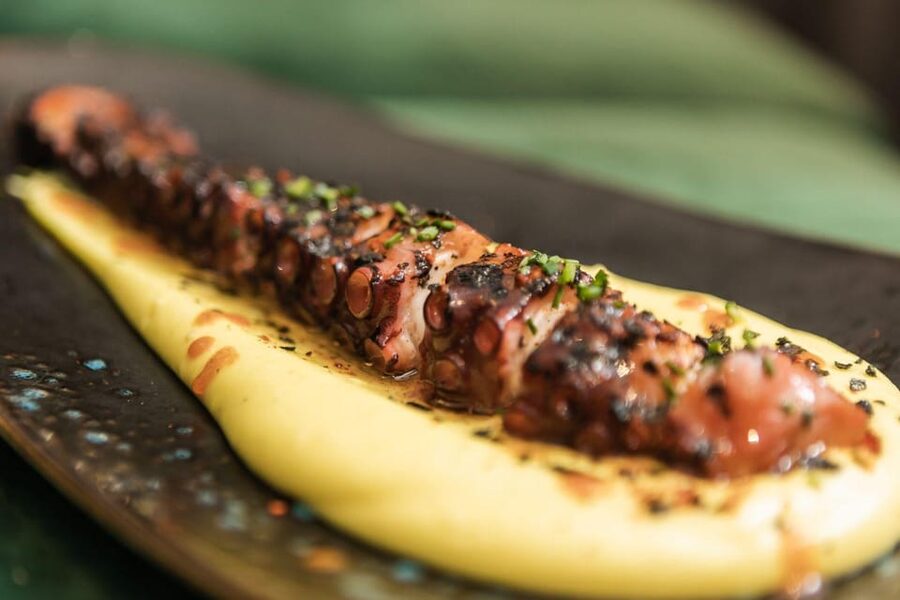 Valencia: Gourmet Food & Wine Tour - Stop 2 for Traditional Tapas: Quality, Sustainability, and Local Rhythm