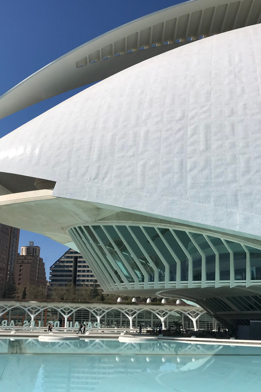Valencia: Grand City Bike Tour on Bicycle, E-Bike or E-Step - Key things I’d focus on
