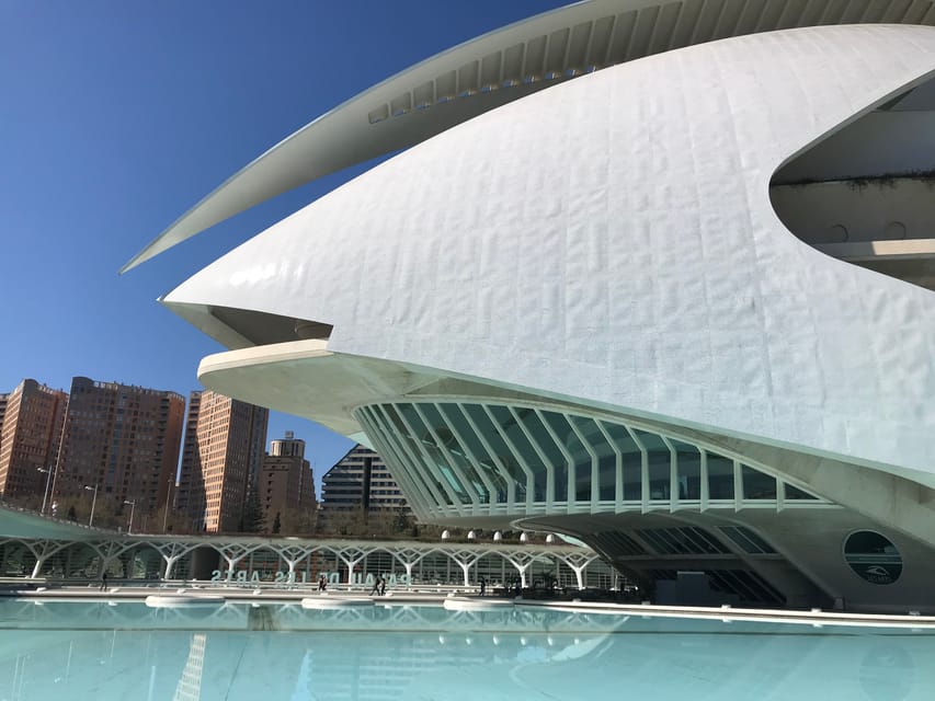 Valencia: Grand City Bike Tour on Bicycle, E-Bike or E-Step - Turia Gardens: the 9-kilometer bike break from traffic