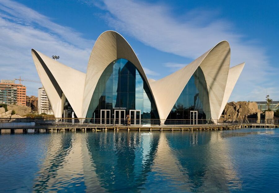 Valencia: Guided City Walking Tour with Tapas Tastings - Torres de Serranos, Plaza Redonda, and the Silk Exchange (La Lonja)