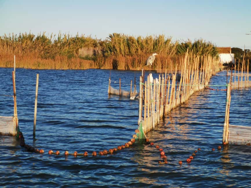 Valencia: Guided Lake Albufera Boat Ride and Barraca Tour - Your 50–60 minutes on Lake Albufera: slow travel at wetland speed