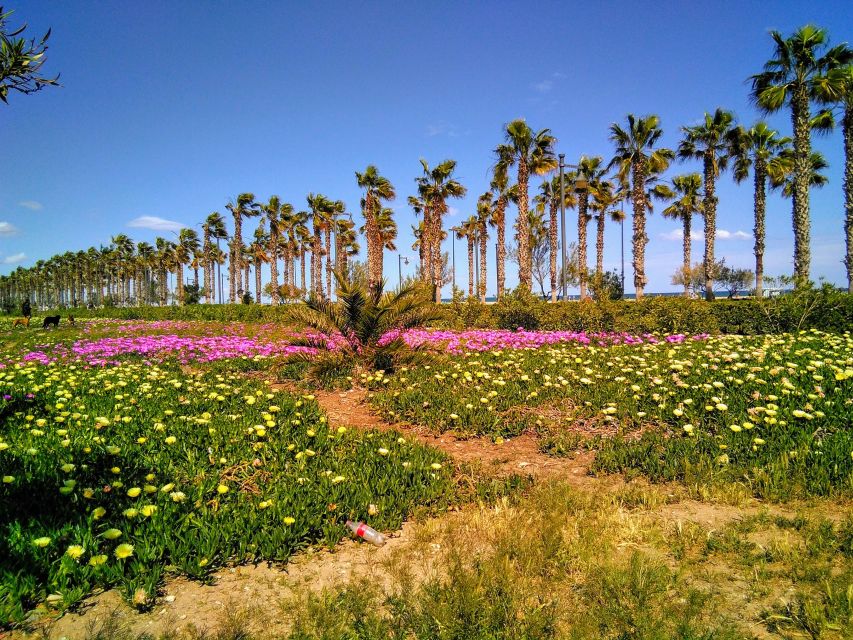 Valencia: Horchata Bike Tour - Pedaling Along the Mediterranean: Coast Views Without the Stress