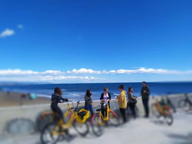 Valencia in bici con guida turistica italiana madrelingua - Turia Gardens by bike: 9 kilometers that feel like a reset button