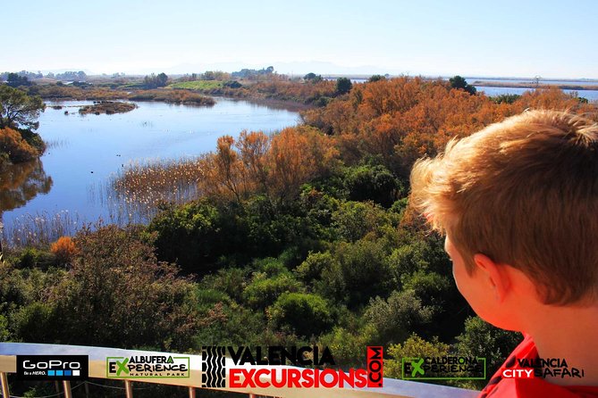 Valencia: Jeep Tour Albufera Park - El Saler beach time: a rare chance to cool off near Valencia