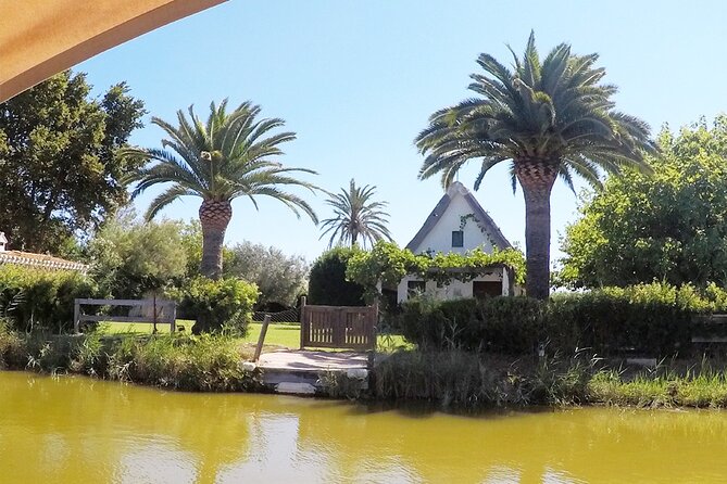 Valencia: Jeep Tour Albufera Park - Timing and group size: how to fit it into your Valencia plan