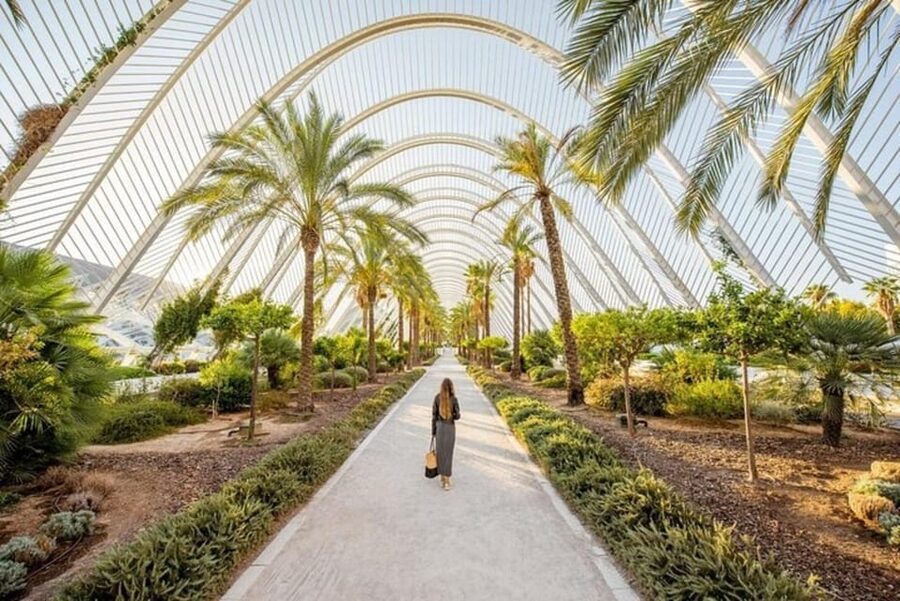 Valencia: Must-See Attractions Walking Tour - Meeting at Calle del Mur de Santa Anna: your starting point in Ciutat Vella