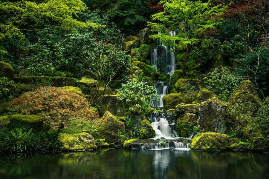 Valencia Natural Wonders: Exploring the Top 4 Waterfalls - The value: four waterfalls, one guided day