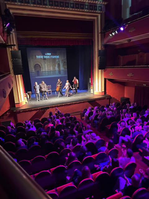 Valencia: New Flamenco Show in the Most Emblematic Theater of the City - The cast: who you’ll see (and what each role brings)