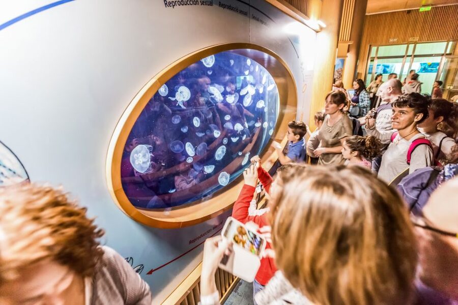 Valencia: Oceanogràfic Entry Ticket - Getting the most out of the walking plan