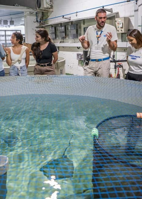Valencia Oceanogràfic Entry with Backstage tour in Spanish - Oceanogràfic backstage: what you see beyond the public tanks