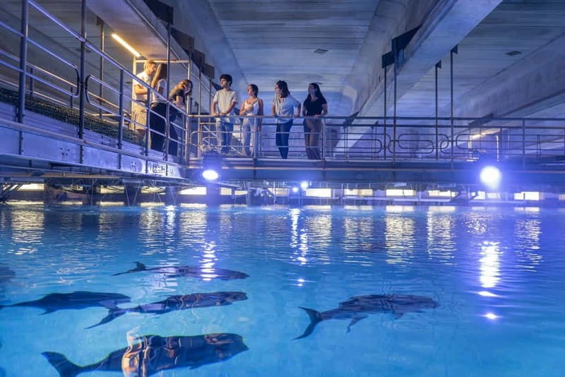 Valencia Oceanogràfic Entry with Backstage tour in Spanish - Quarantine area: the waiting room for young marine animals