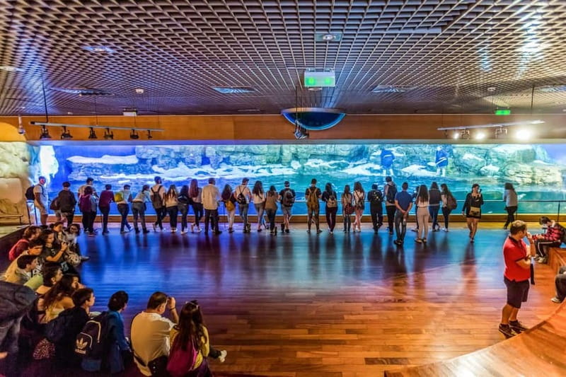 Valencia Oceanogràfic Entry with Backstage tour in Spanish - Spanish-only tour: how to get the most even if your Spanish is limited
