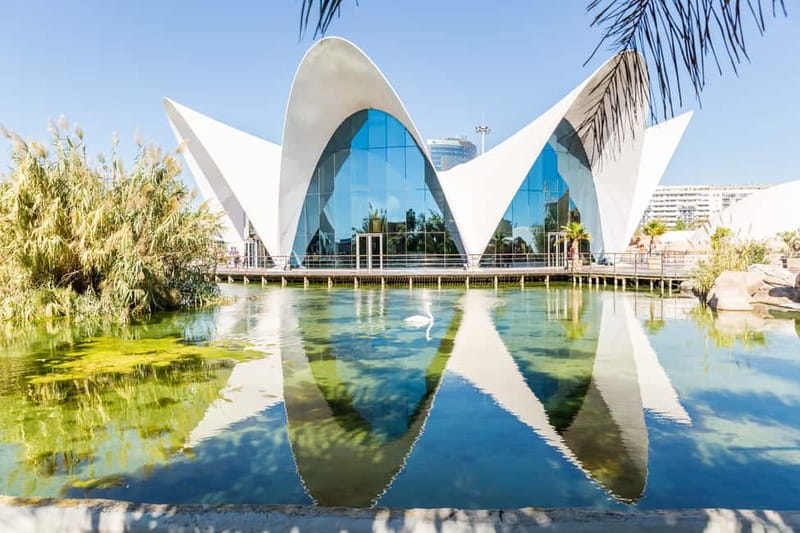 Valencia: Oceanogràfic, Hemisfèric & Science Museum Combo - Price and value: is $54 a good deal?