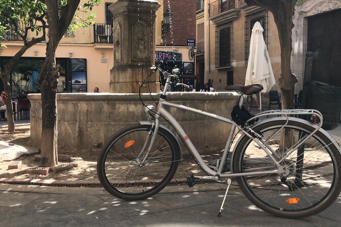 Valencia Old Town Private Tour by Bike or Electric Ride - Valencia Cathedral Area and Placa de la Reina: Baroque Views Without the Stress