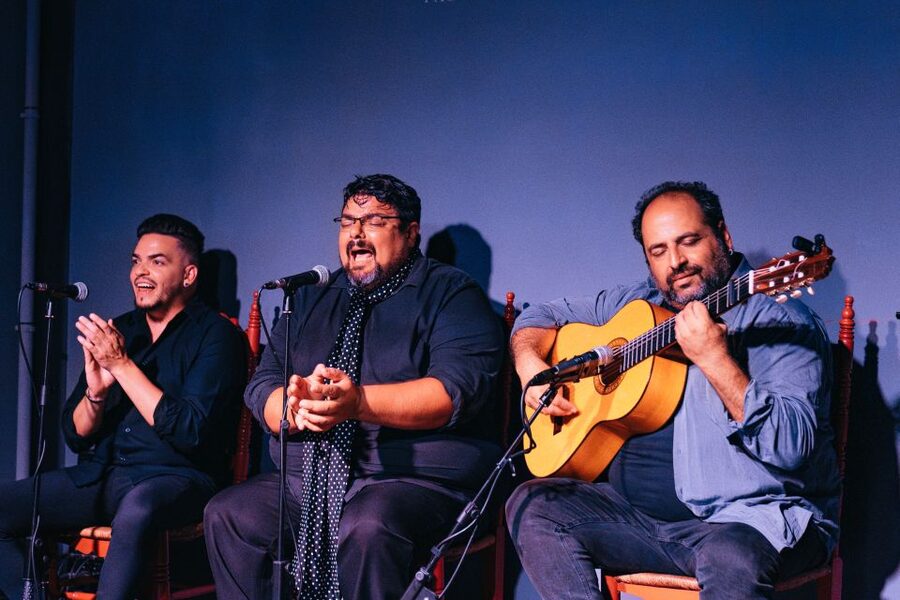 Valencia: Palosanto Flamenco Show Ticket - Palosanto Tablao Flamenco in Valencia’s Cabañal: what you’re really buying