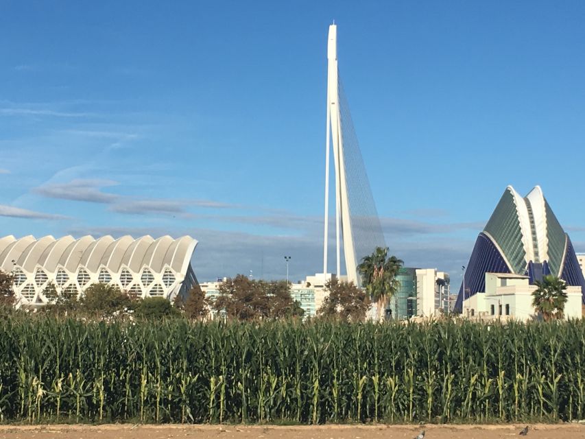 Valencia: Private 4-Hour Shore Excursion - Should you book it or skip it?