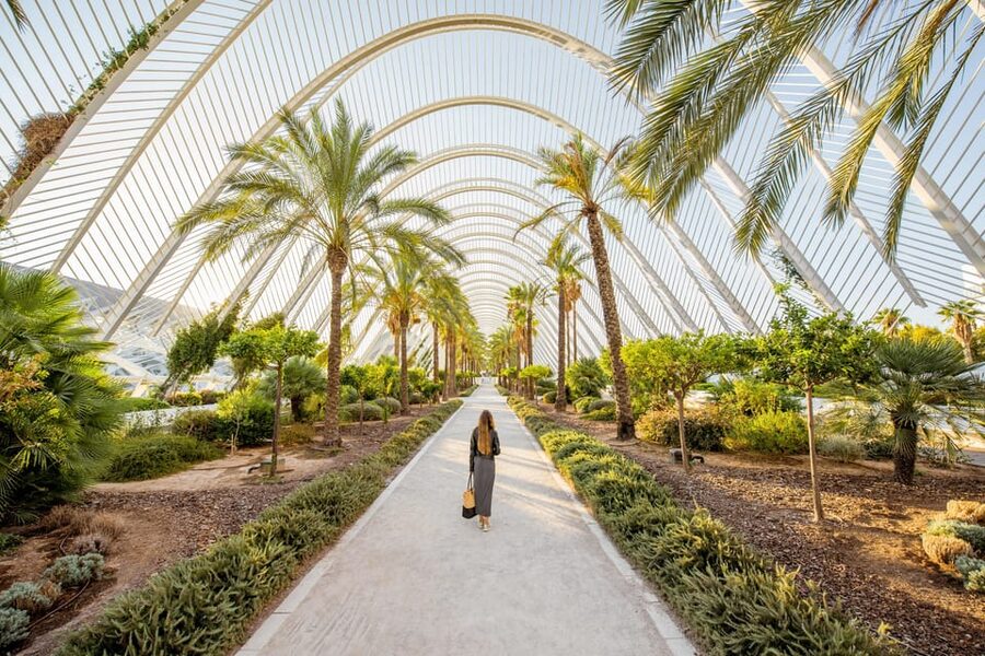 Valencia: Private Brunch Tour with Basic Spanish Learning - Price, Small Groups, and When $65 Feels Fair