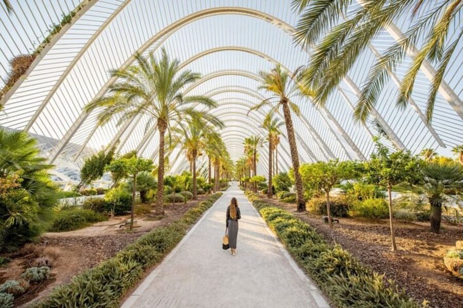 Valencia: Private custom tour with a local guide - Food advice that actually helps you eat well in Valencia