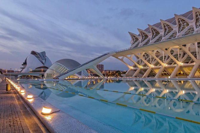 Valencia Private Tour with Hotel or Cruise Port Pick up - Price and what you really get for $583.84