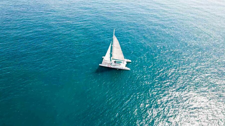 Valencia: Sailing Catamaran with Swimming & Optional DJ - The swim stop: jumping in, safety basics, and crowding realities