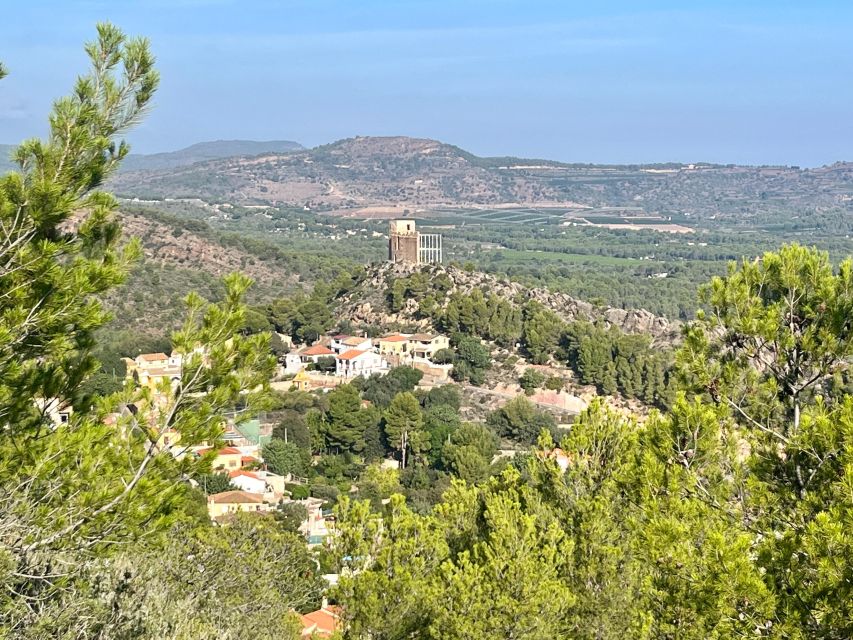 Valencia: Sierra Calderona & El Garbí Mountain hiking Tour - What you get for $100: value check in plain numbers
