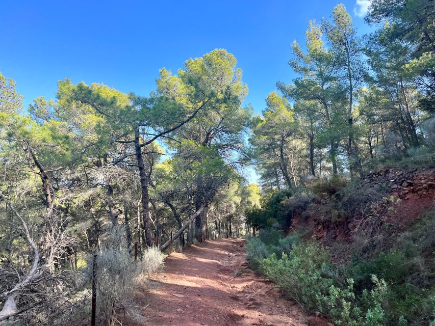 Valencia: Sierra Calderona & El Garbí Mountain hiking Tour - Getting there: Sagunto pickup and the Beselga start