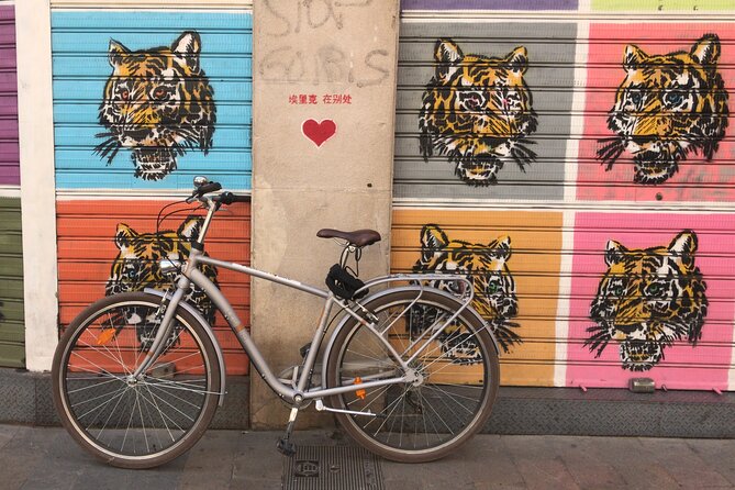Valencia Street Art | Private Tour by Bike or Electric Ride - The ride through Valencia’s smaller lanes (where the art lives)