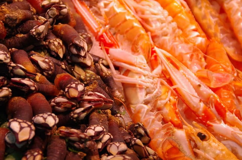 Valencia: Tapas and Sightseeing guided tour - The last stop: local café with a cocktail and final snacks