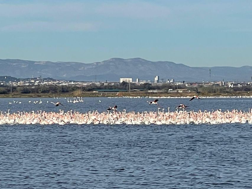 Valencia: The Albufera Lake Self-Guided E-Bike Tour - Key highlights worth your attention