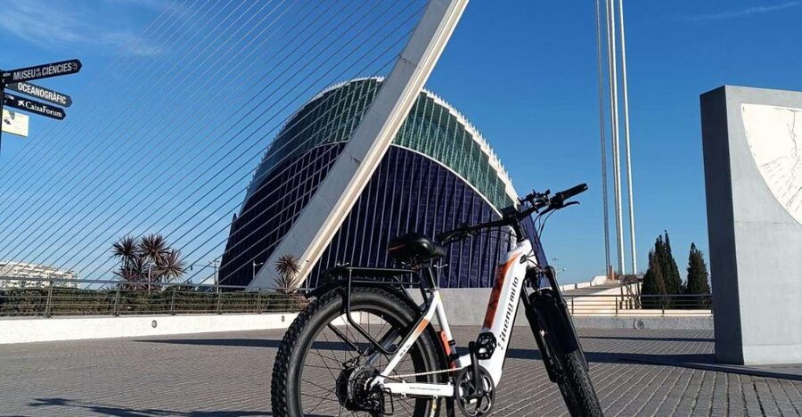 Valencia: The Albufera Lake Self-Guided E-Bike Tour - A Flat E-Bike Day From Ruzafa to Albufera