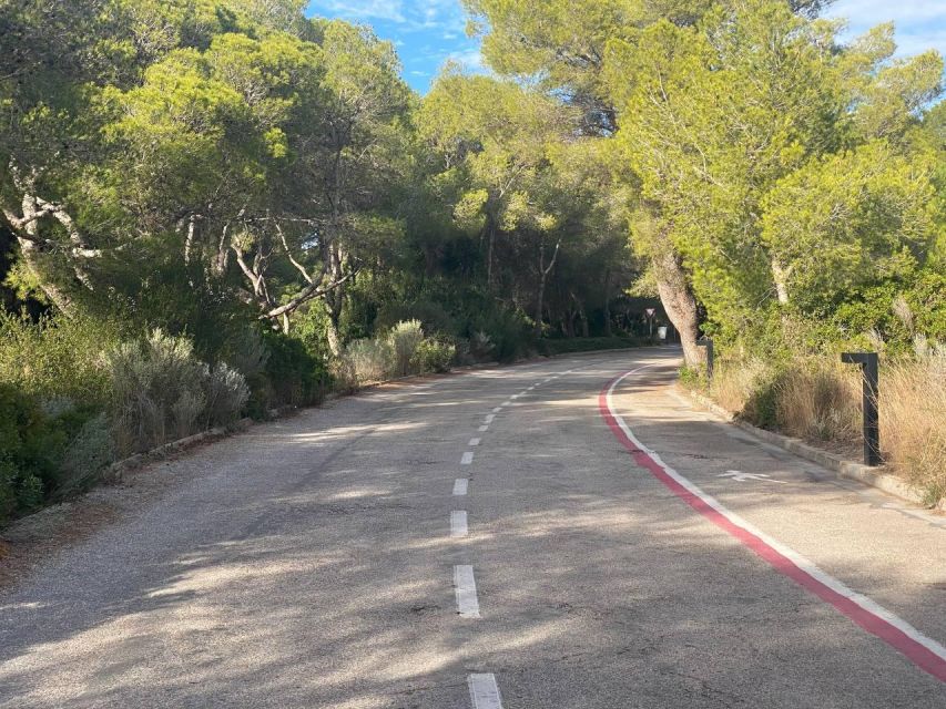 Valencia: The Albufera Lake Self-Guided E-Bike Tour - Ruzafa First: Shops, Cafés, and an Easy Start