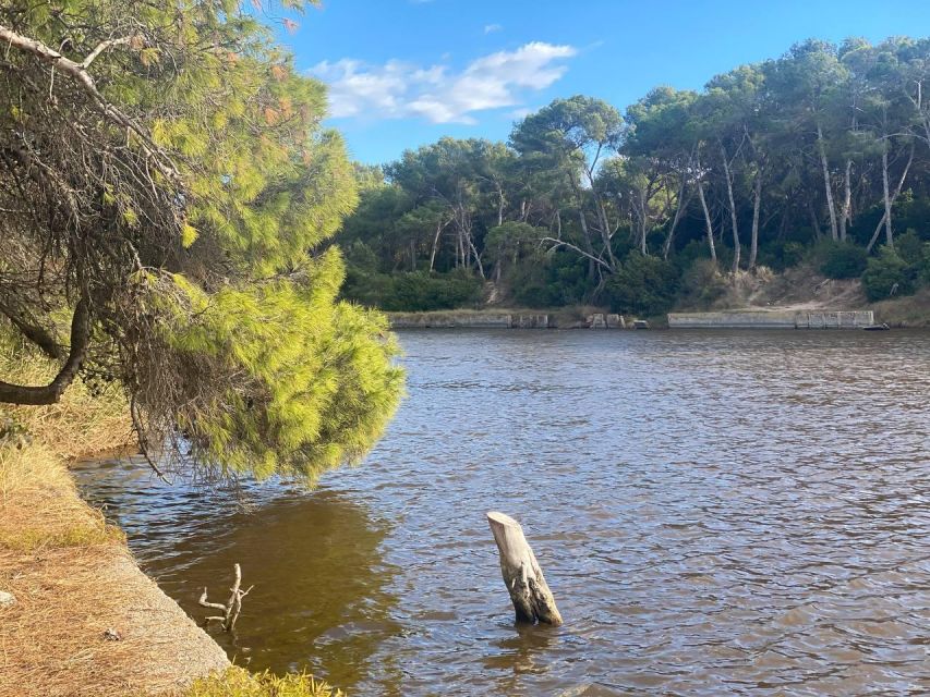 Valencia: The Albufera Lake Self-Guided E-Bike Tour - Turia Gardens: The Park That Replaced a River