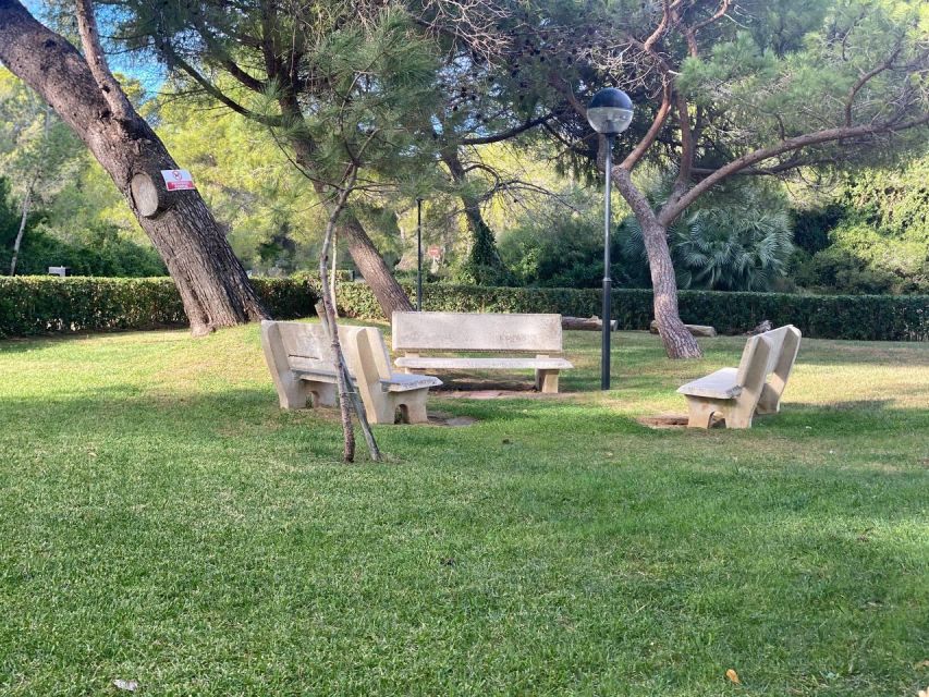 Valencia: The Albufera Lake Self-Guided E-Bike Tour - E-Bike Reality Check: Battery, Bike Condition, and Comfort