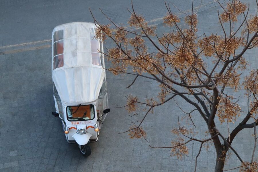 Valencia: Tuk Tuk Historical Tour - Who should book this Valencia Old Town tuk tuk tour
