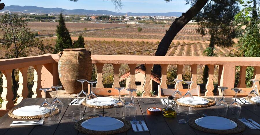 Valencia: Utiel-Requena Cave & Winery Day Trip with Tasting - Key things that make this tour worth your time