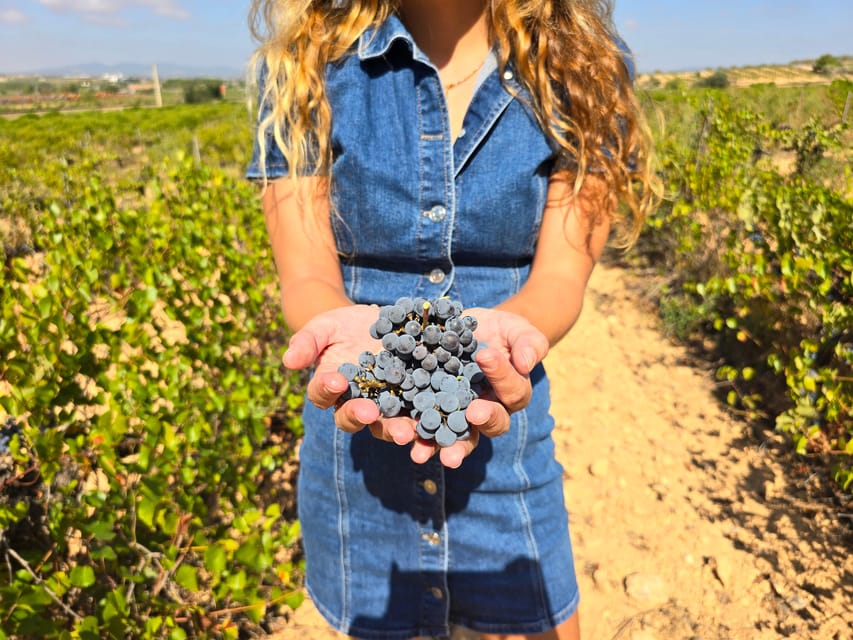 Valencia: Utiel-Requena Cave & Winery Day Trip with Tasting - Why Utiel-Requena is the smart choice from Valencia