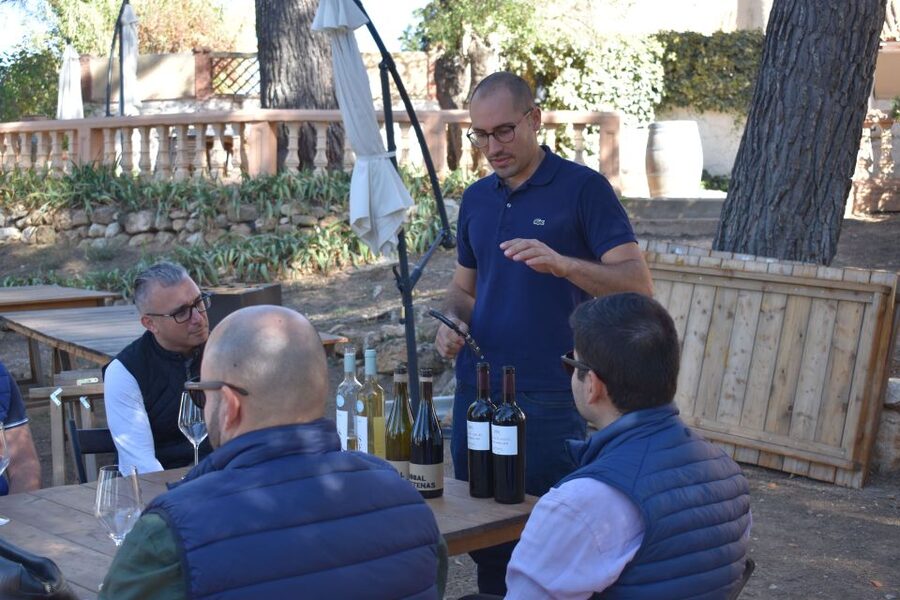Valencia: Utiel-Requena Cave & Winery Day Trip with Tasting - Seasonality perks: grapes on the vine and treading the harvest