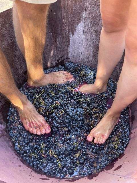 Valencia: Utiel-Requena Cave & Winery Day Trip with Tasting - Price and value: is $128 per person fair?
