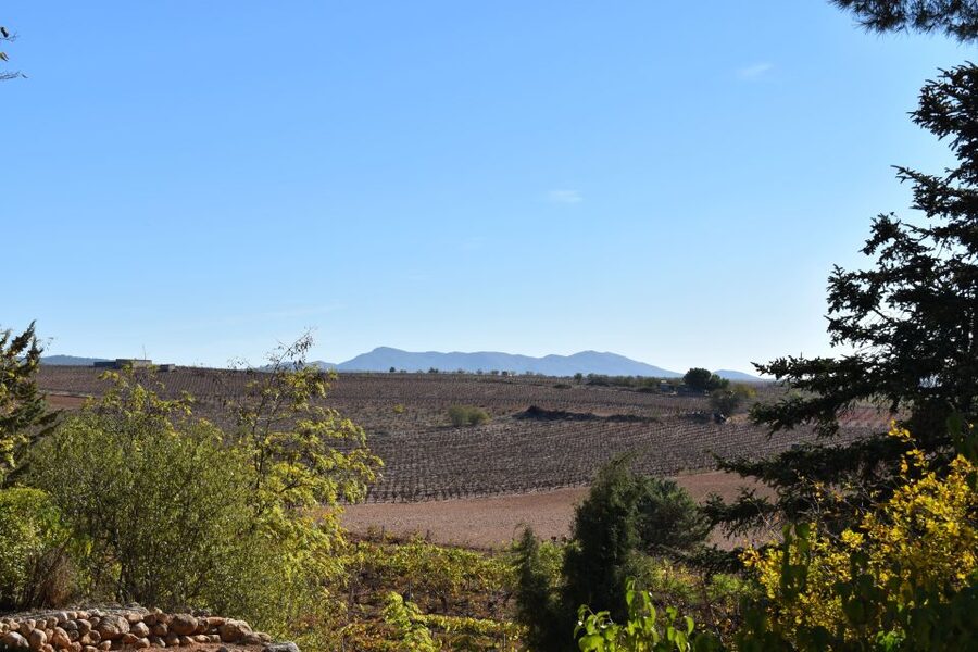 Valencia: Utiel-Requena Cave & Winery Day Trip with Tasting - Comfort and pacing tips (based on real feedback)