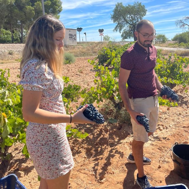 Valencia: Utiel-Requena Cave & Winery Day Trip with Tasting - Getting there and what the 6-hour rhythm actually feels like