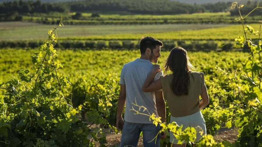 Valencia: Vineyard Tour, Local Wine, Cava Tasting & Snacks - How the Utiel-Requena tour fits into a 4-hour plan