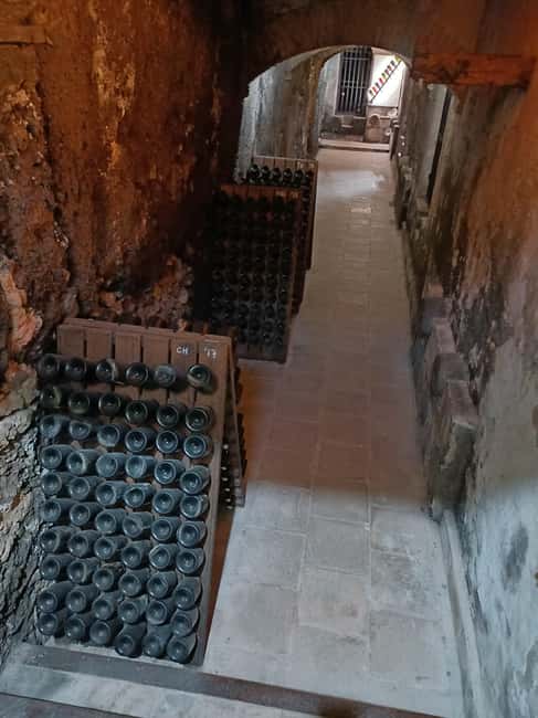 Valencia: Vineyard Tour, Local Wine, Cava Tasting & Snacks - Varieties on the estate: reds, rosés, whites, and how cava fits