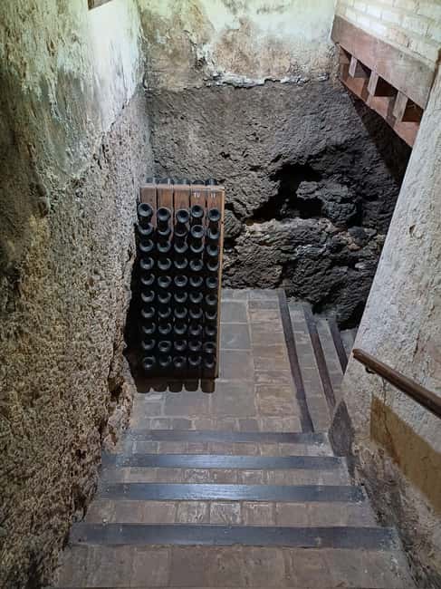 Valencia: Vineyard Tour, Local Wine, Cava Tasting & Snacks - Who should book this Requena winery tasting tour